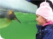 Birdland Park & Gardens