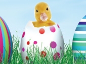 Easter School Activities in Gloucestershire