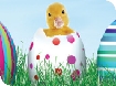 Easter School Activities in Gloucestershire