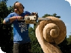 Festival of the Tree at Westonbirt Arboretum