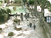 Cotswolds webcam installed at Birdland in Bourton-on-the-Water