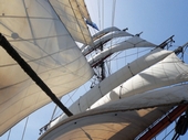 No Gloucester Tall Ships Festival in 2010