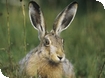 Spring events in Gloucestershire