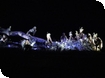 English Touring Opera