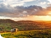 2010 'Gloucestershire at its Best' Photography Competition