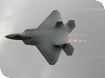 RIAT 2010