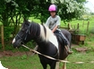 New Pony Rides at Puzzlewood