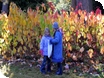 Autumn at Westonbirt Arboretum