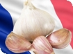 Continental  French Market