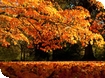 Gloucestershire at its Best Photography Competition - Last chance to enter