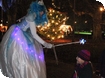 The Magic of Westonbirt this Christmas
