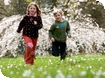The best kept secret in the Cotswolds this Spring