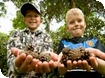 Kids free holiday activities at Westonbirt