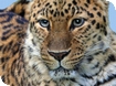 AWARD WINNER 2011: Cotswold Wildlife Park
