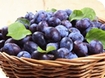 Harts Barn to host first Plum Festival for the Forest of Dean