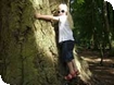 Westonbirt Arboretum