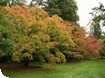 Westonbirt Arboretum