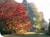 Westonbirt Arboretum