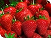 Pick your own strawberries
