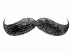 Movember 2012