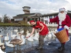Events at WWT Slimbridge