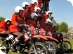the Cotswold Show 2013