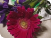 Mother's day in Gloucestershire