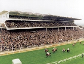 Cheltenham Racecourse