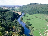 Symonds Yat