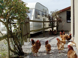 Hogsdown Farm Caravan & Camping Site