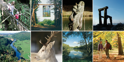 The Royal Forest of Dean, full of places to visit and things to see and do.