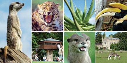 Cotswold Wildlife Park has so much to see and do