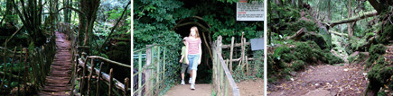 Children love Puzzle Wood with so many places to explore