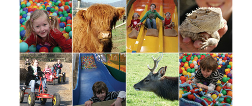 There's so much to see and do at Dick Whittington Farm Park n the Forest of Dean