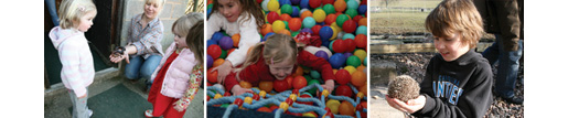 From super slides to hands-on activities at Dick Whittington Farm Park