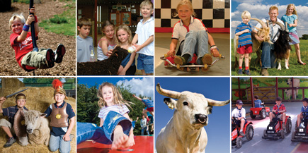 The ideal fun packed day out in the Cotswolds for all the family can be enjoyed at the Cotswold Farm Park near Guiting Power in the Cotswolds.