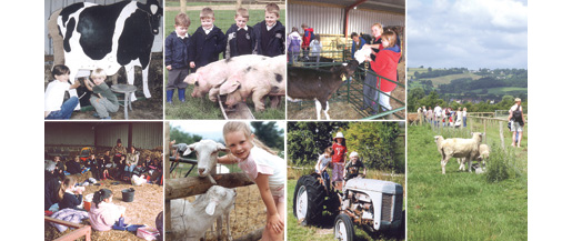 St Augustines Farm is situated at Arlingham in the horseshoe bend of the River Severn.