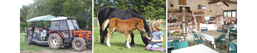 There's so much to do on the working farm of St Augustines Farm at Arlingham