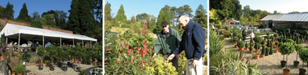 Batsford Garden Centre is situated in the beautiful Batsford Estate