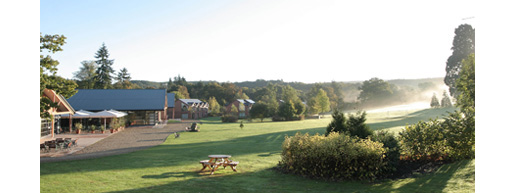 Whitemead Forest Park is situated in the middle of the stunning Forest of Dean