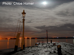 2008 winner: © David Gamm