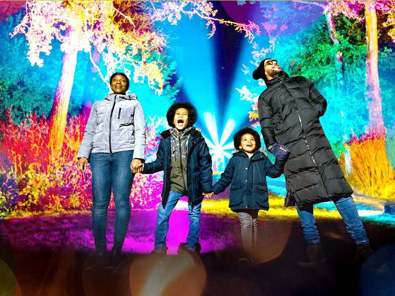 Enchanted Christmas at Westonbirt Arboretum