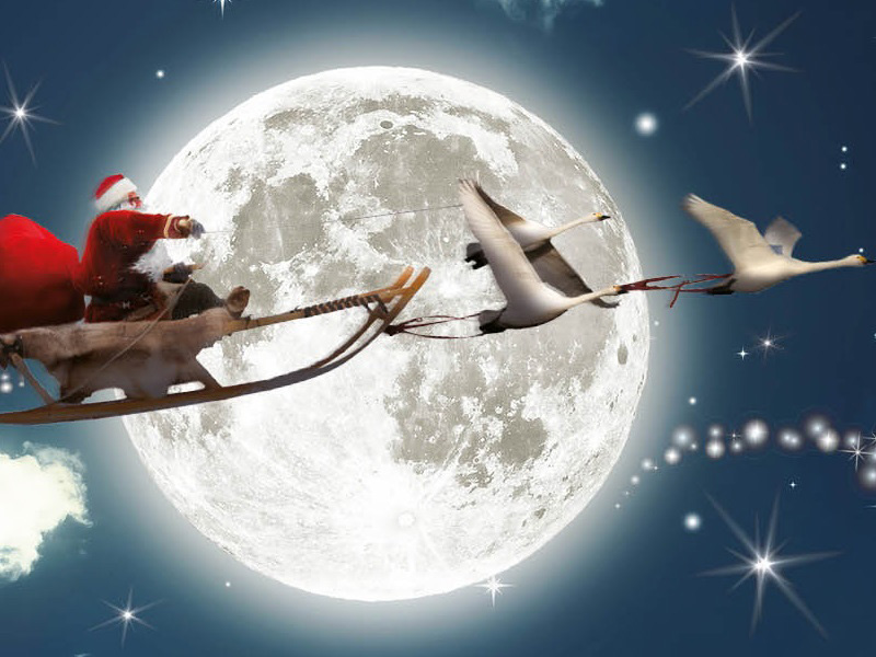 Santa at Slimbridge WWT