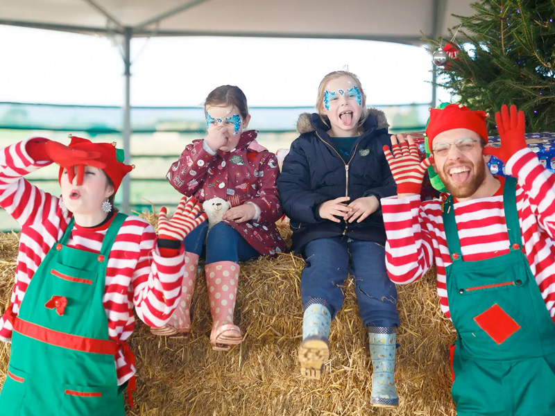 Christmas at Over Farm Countryside Adventure