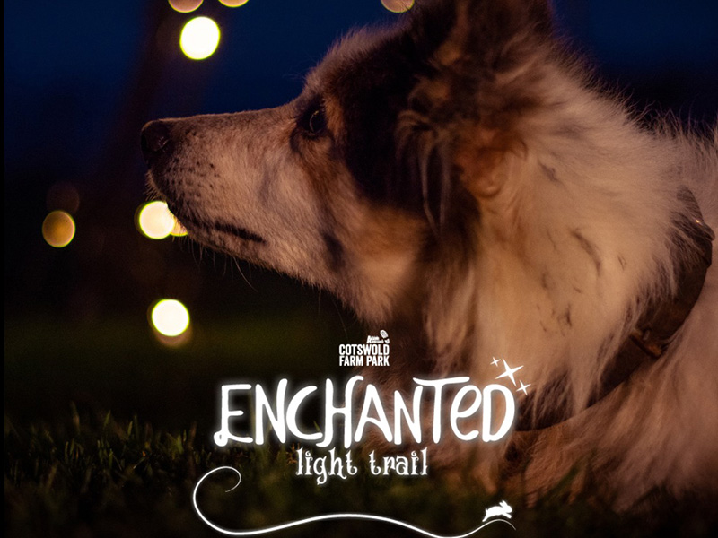 Enchanted for Dogs at Adam Henson's Cotswold Farm Park