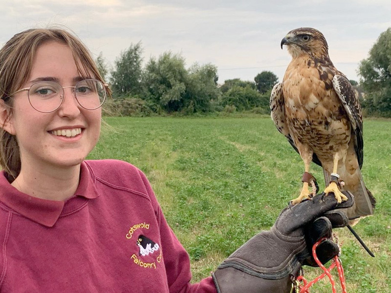 Introductory Days at Cotswold Falconry Centre