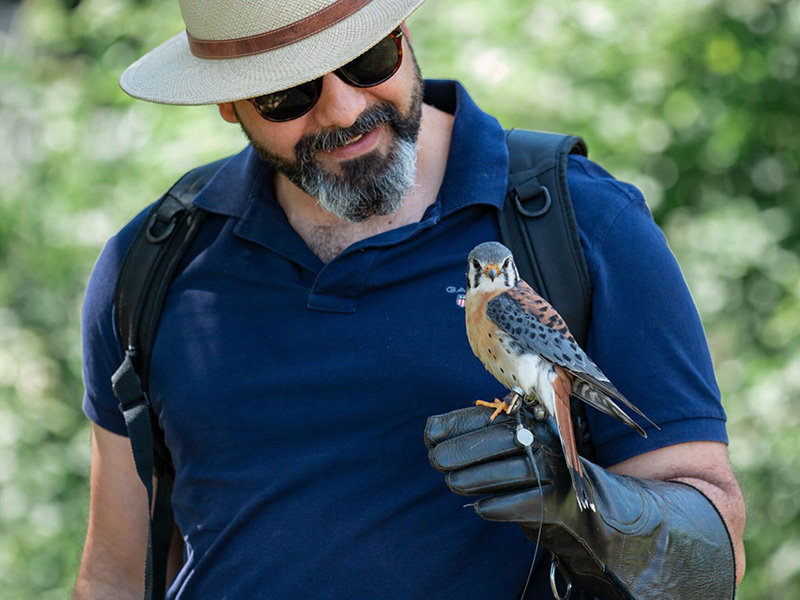 what's on at Sudeley Castle