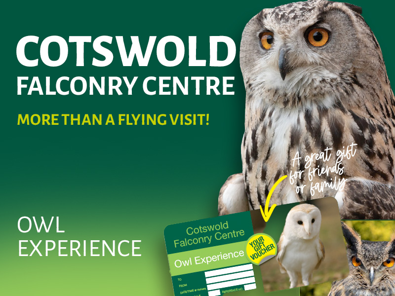 Cotswold Falconry Centre Gift Vouchers