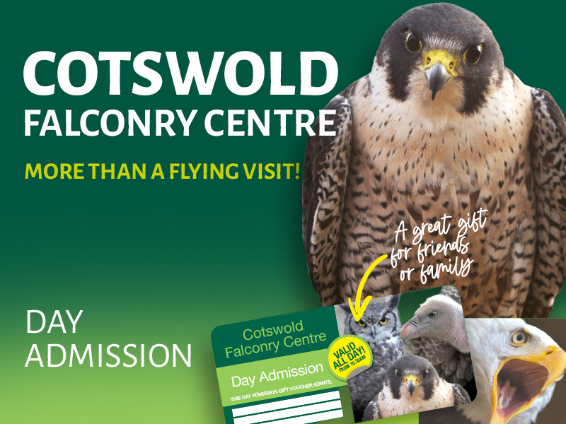 Cotswold Falconry Centre Gift Vouchers