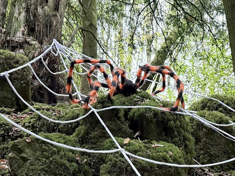 Halloween at Puzzlewood